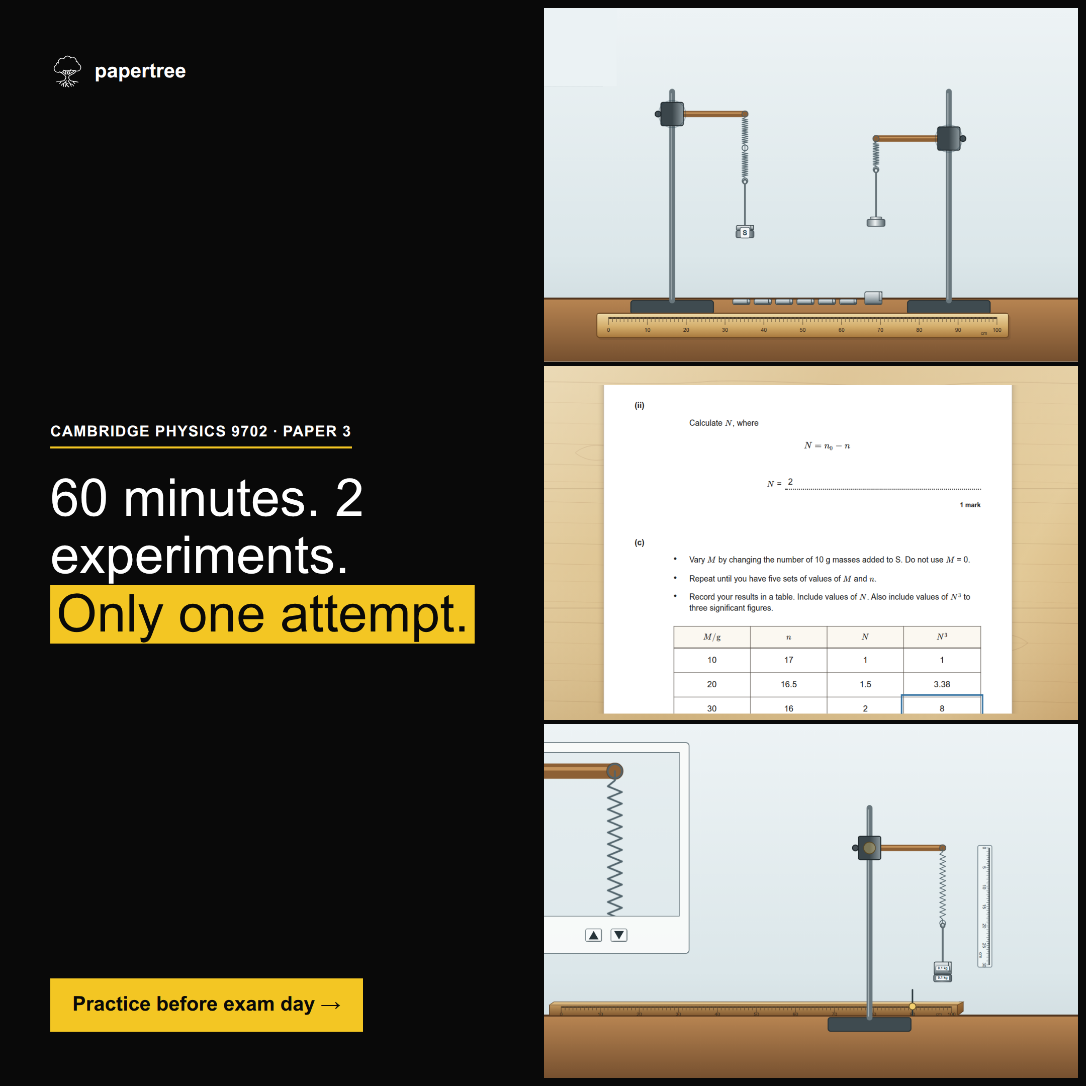 Papertree creative: 60 minutes, two experiments, only one attempt.